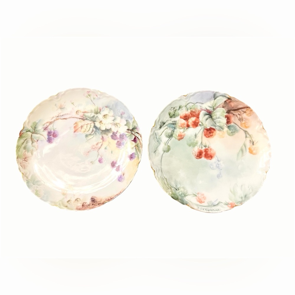 Haviland France Limoges Porcelain Decor Plates - Early 1900s